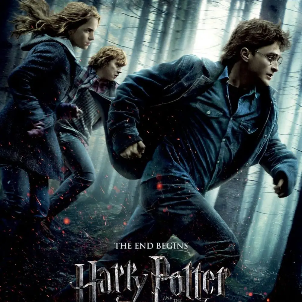 Harry Potter & The Deathly Hallows Part 1 (2010)