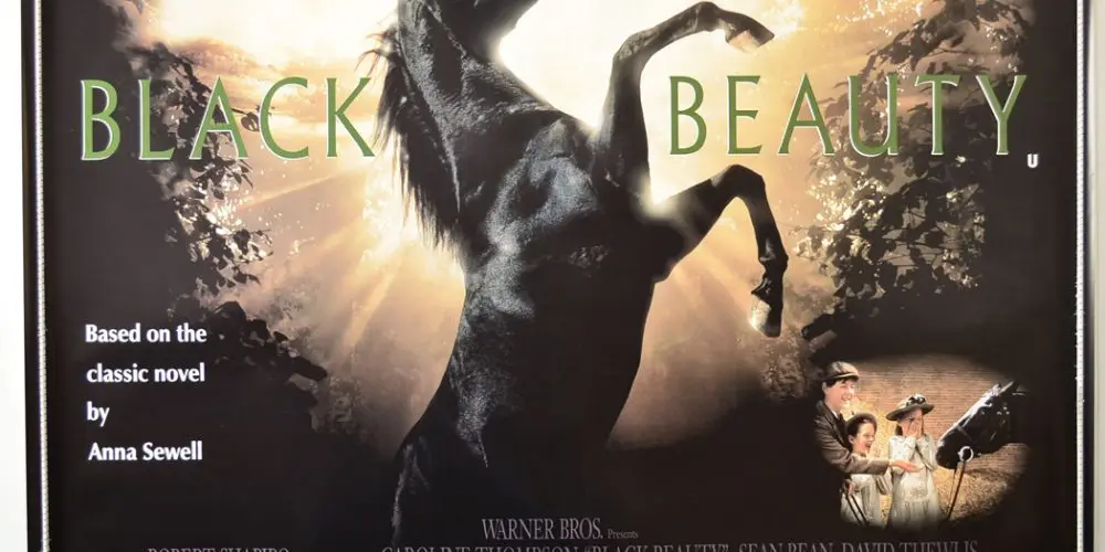 Black Beauty (1994)